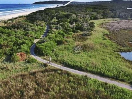 Forest Beach - Photo 5