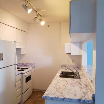 Beautiful 1 bed condo in high rise near Joyce Collingwood station - Photo 4