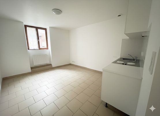 Location Appartement 1 pièce 19m² NOGENT SUR VERNISSON 45290 - Photo 1