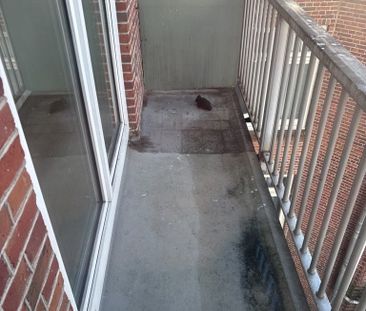 Appartement te huur: Linnaeusstraat 207-3 1093 EN Amsterdam - Photo 5