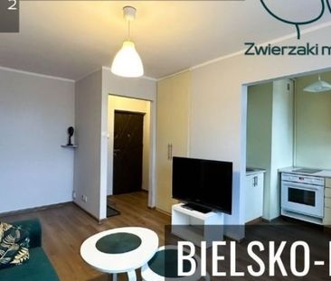 Bielsko-Biała, Grażyny Mieszkanie na wynajem - Zdjęcie 5