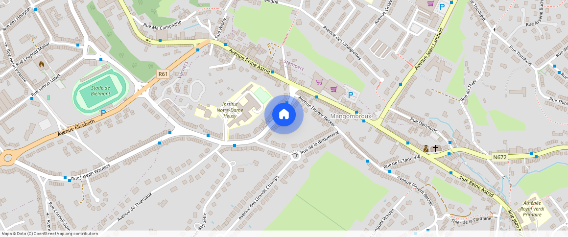 Avenue Jean Tasté, **, 4802, Verviers