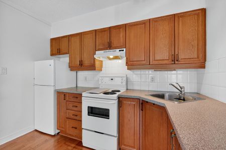 For Lease - 150 York Street Unit# 3A, Lower Town - Sandy Hill, Ontario - Photo 5