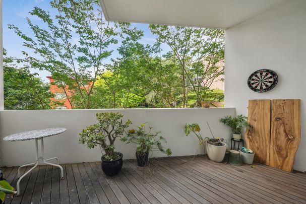 105/10-20 Anzac Parade, Kensington NSW 2033 - Apartment For Rent | Domain - Photo 1