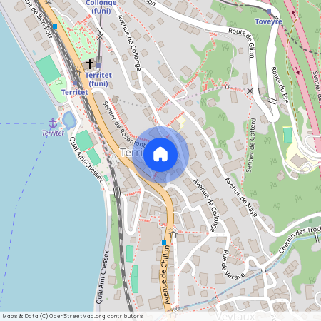 Sentier de Collonge 3, 1820 Montreux