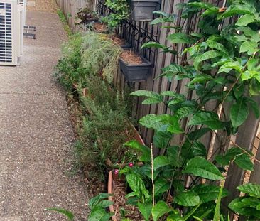 Maroochydore - Photo 5