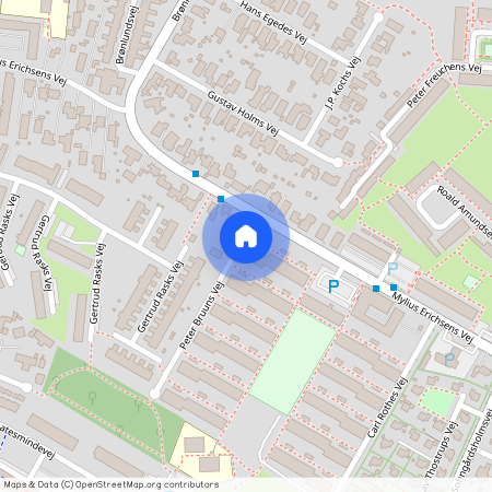 Peter Bruuns Vej 65 1 1, 9210 Aalborg SØ