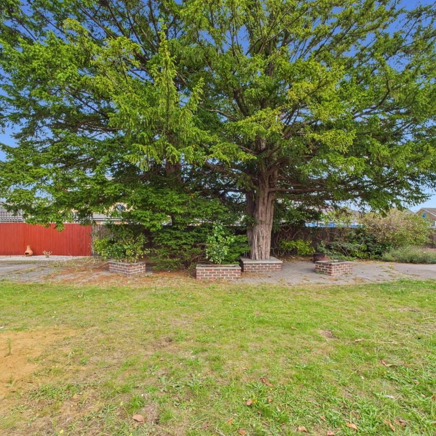 4 Bedroom - Photo 1