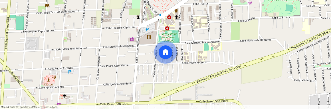 Privada La Loma 1, Metepec, Estado de México, 52140, México