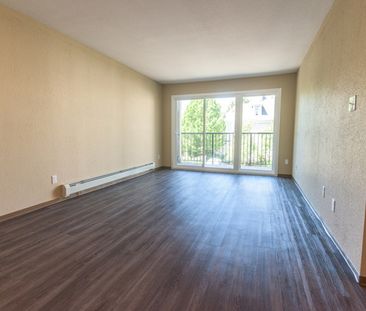 Anondale Court - 1 Bedroom - Photo 3