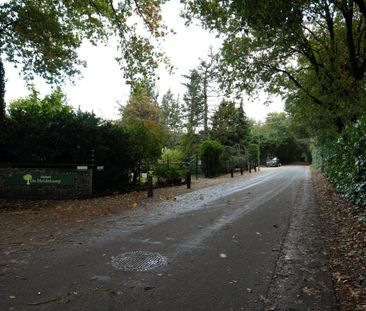 Zevenbergjesweg 2945 3781 NV Voorthuizen - Photo 5