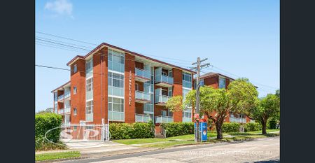 * North facing spacious living - Photo 4