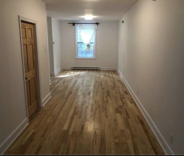 Appartement Rénové 1 Chambre à Louer - Photo 1