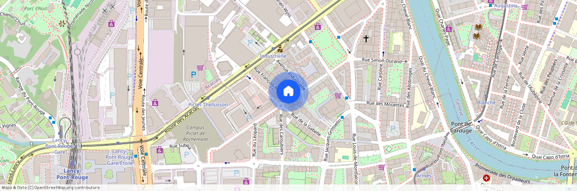 Rue des Noirettes 20, 1227 Carouge, Switzerland, 1227 Carouge