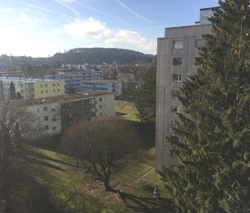 Life above the rooftops of Zuchwil - Photo 6
