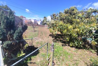 En alquiler casa en Garachico