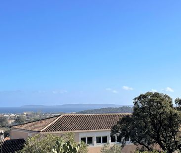 BORMES LES MIMOSAS - Photo 3