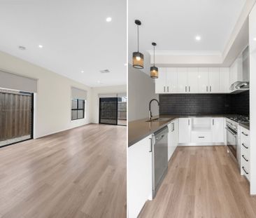 Four Bedroom home in Donnybrook - Photo 3
