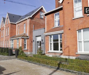 Serviced Studio apartment to rent in Ballsbridge, Dublin - Photo 5