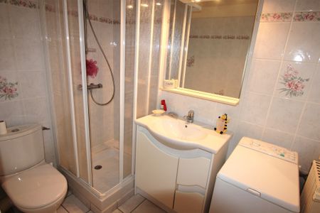 Location Appartement 1 pièce 33m² DECIZE 58300 - Photo 3