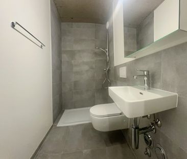 Living in Carouge – Last new 3-room apartment for rent - Foto 5