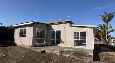 Big and Beautiful - Photo 4