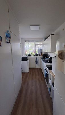 Appartement au rez-de-chaussée Roelof Bootstraat 21, Edam - À louer - Foto 1