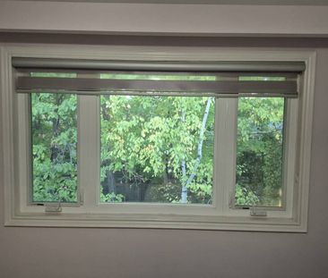 For Lease - 34 Delair Crescent Unit# W/O, Markham, Ontario - Photo 4