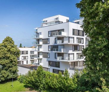 Appartement T2 à louer - 39 m² - Photo 6