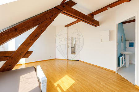 Location Appartement 1 pièce 19m² STE SAVINE 10300 - Photo 5