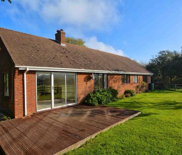 3 bedroom detached bungalow to rent - Photo 5