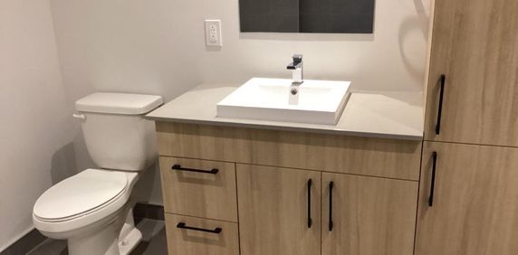 5 1/2 a louer-pointe-des-cascades-appartement - Photo 2