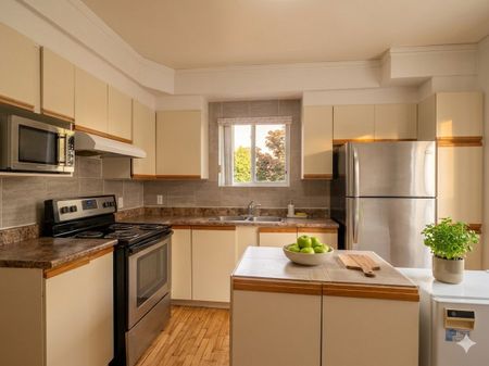 6825 Boul. Pie IX, Montréal (Rosemont, QC H1X - Photo 5