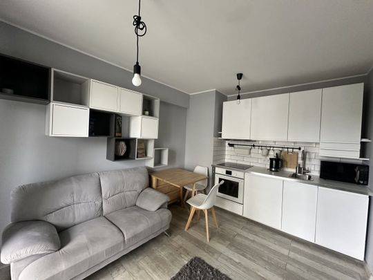 Mieszkanie do wynajęcia 1 pokoje Franciszka Morawskiego, Poznań 25.5 m² - Zdjęcie 1