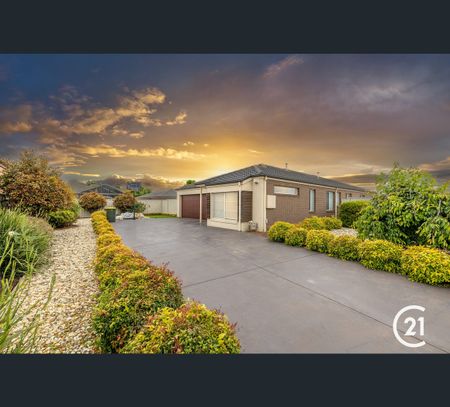 40 Maiden Street, Moama, NSW 2731 - Photo 2