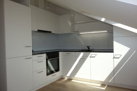 Moderne Wohnung - mitten in der Zürcher Stadt (Kreis 4) - Photo 4