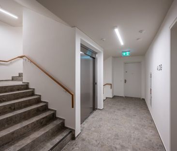 ++NEU++ Einzigartige 3-Zimmer-Wohnung in bester Lage mit Loggia, To... - Foto 4