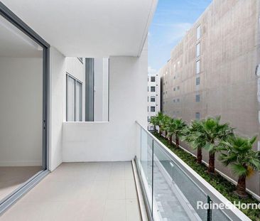 Stunning Sunny, Leafy Apartment - Photo 5