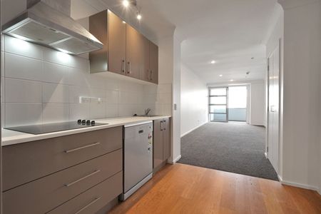 Fabulous Apartment plus Two Carparks - Photo 3