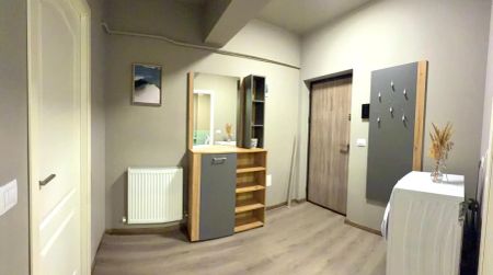 De inchiriat apartament, 1 camera, decomandat, 40 mp, Valea Adanca, Profi, Cod 162172 - Photo 5