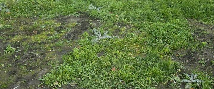 Wohnung zu vermieten castrop str - Photo 1