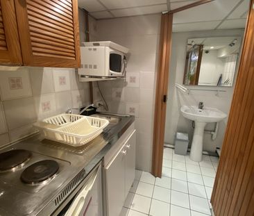 Location Appartement 1 pièce 17m² PALAISEAU 91120 - Photo 2