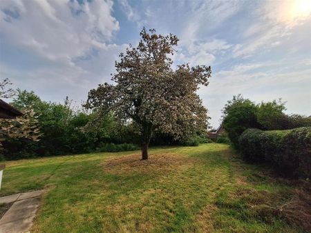 3 bedroom semi-detached house to rent - Photo 3