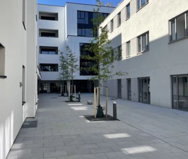hochwertig vollmöblierte 2-Zimmer-Wohnung mit großzügigem Balkon un... - Foto 6