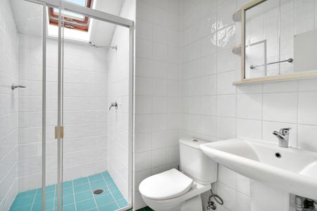 132B Darling Street, Balmain East NSW 2041 - House For Rent | Domain - Photo 4