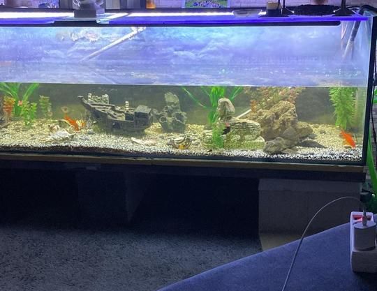 Möblierte Wohnung in Mönchengladbach Rheydt - Foto 1