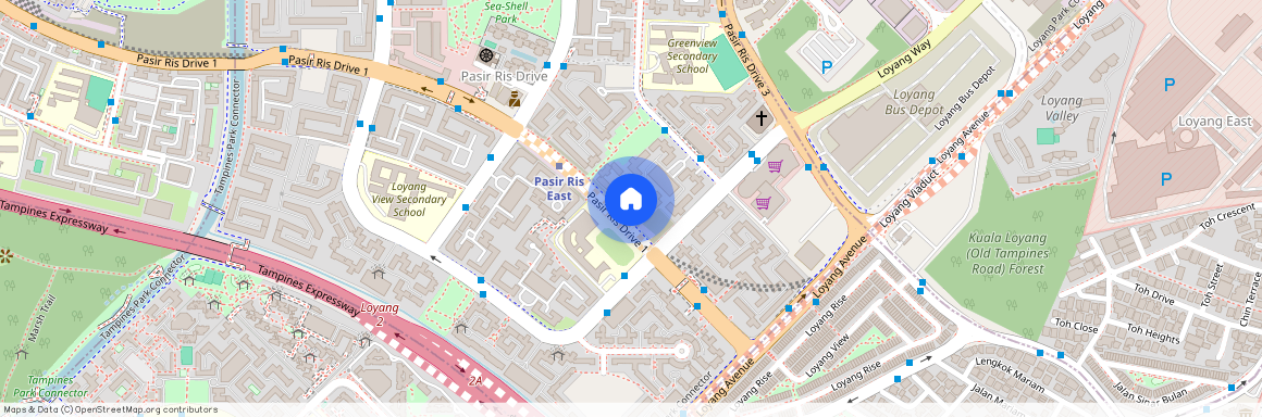 208 Pasir Ris Street 21 (510208), Singapore