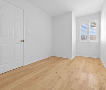 For Lease - 29 Coburg Crescent, Richmond Hill, Ontario - Photo 3