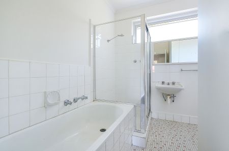 3/115 Mitford Street, Elwood VIC 3184 - Apartment For Rent | Domain - Photo 4