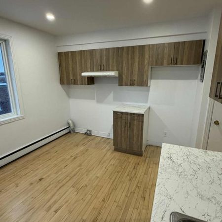 Grand 4 1/2 Rénové Rosemont - Photo 4